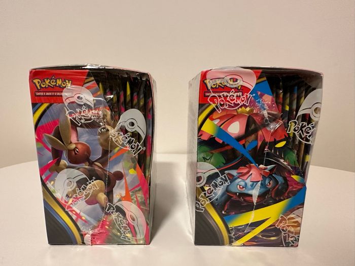 Display Pokémon mega évolution et flammes fant - photo numéro 3