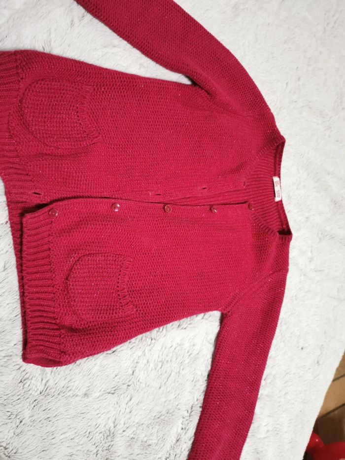 Gilet pailleté - photo numéro 2