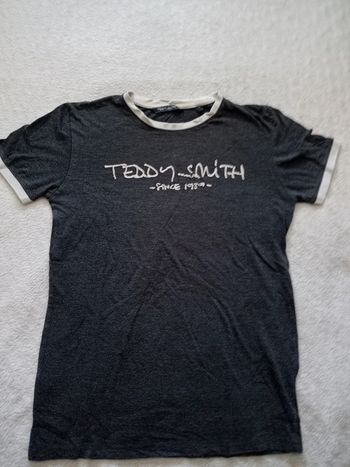 Tee shirt homme Teddy smith s107