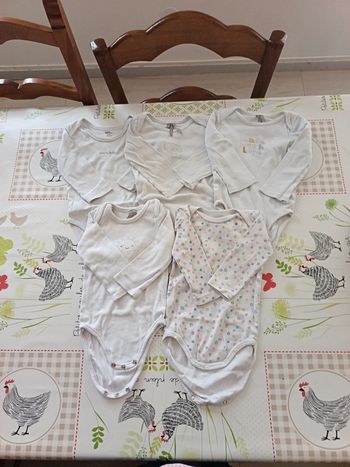 Lot de 5 bodies ML 9 mois