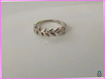 Bague en acier inoxydable