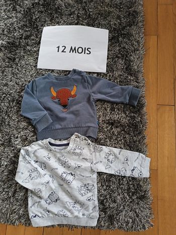 2 sweats 12 mois