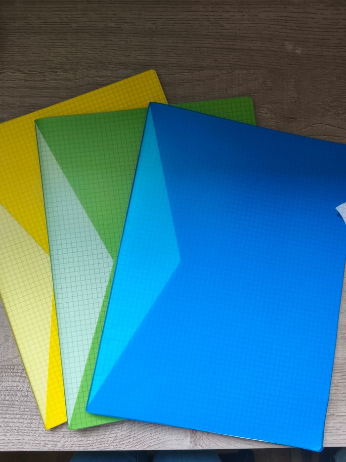 Lot de 3 cahiers petits carreaux