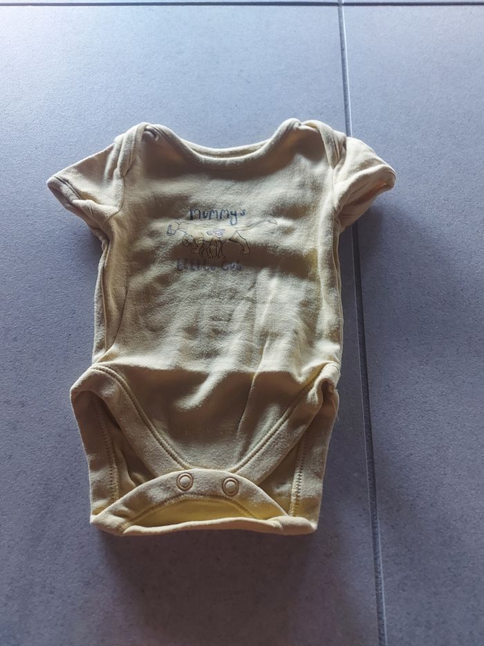 Lot bodies - photo numéro 6