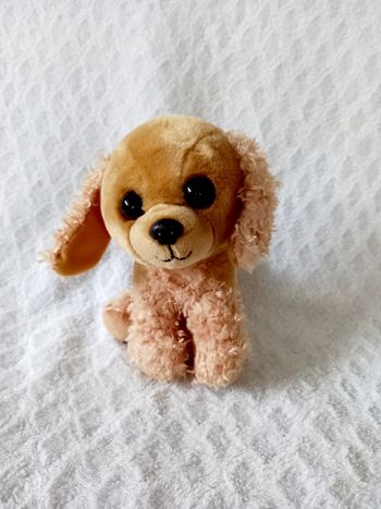 Peluche chien TY Sadie