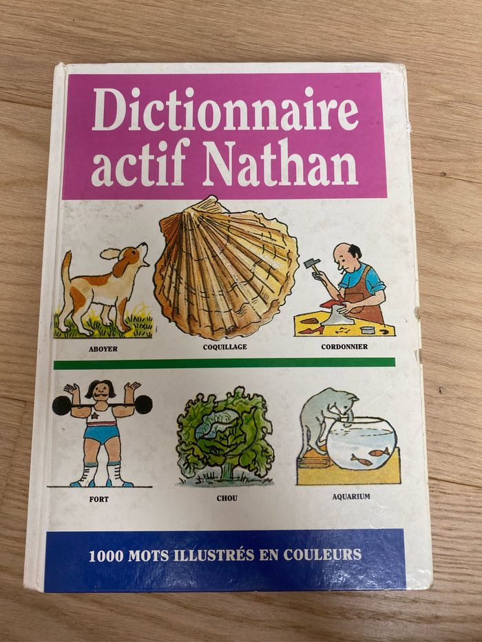 Livre dictionnaire actif Nathan