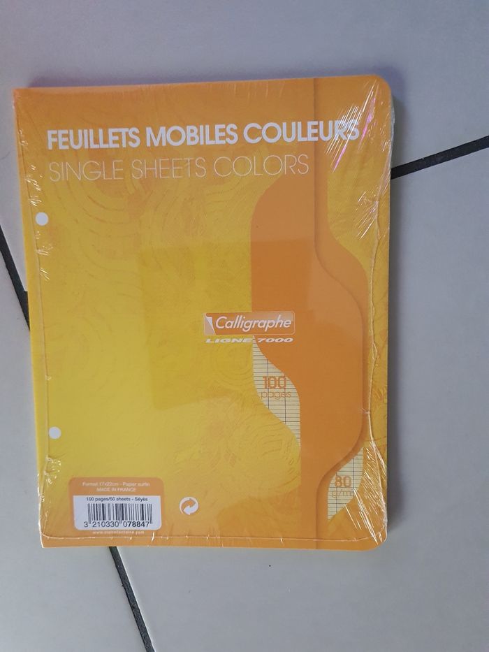 Feuille de couleur - photo numéro 3