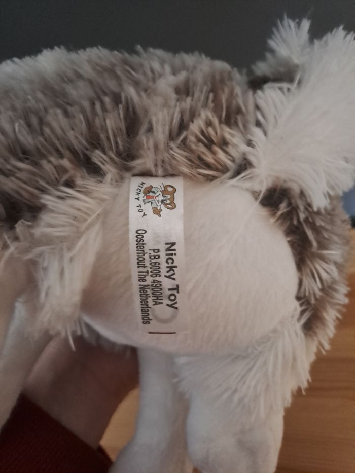 Husky assi très doux - photo numéro 3