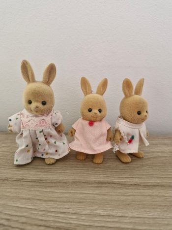Lot 3 lapins Petits Malins