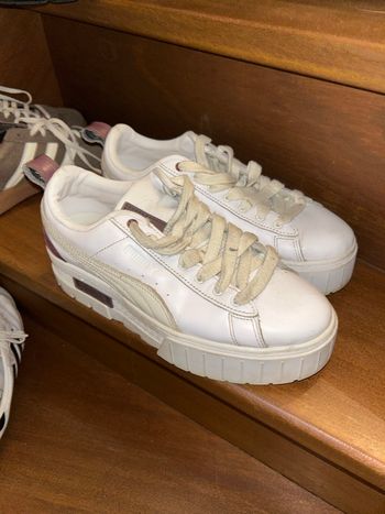 Puma mayze