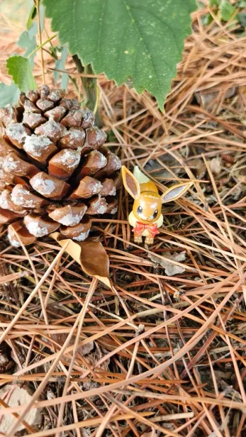 Super figurine Pokemon Nintendo Évoli