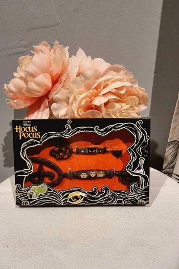 Lot 2 clés Hocus Pocus