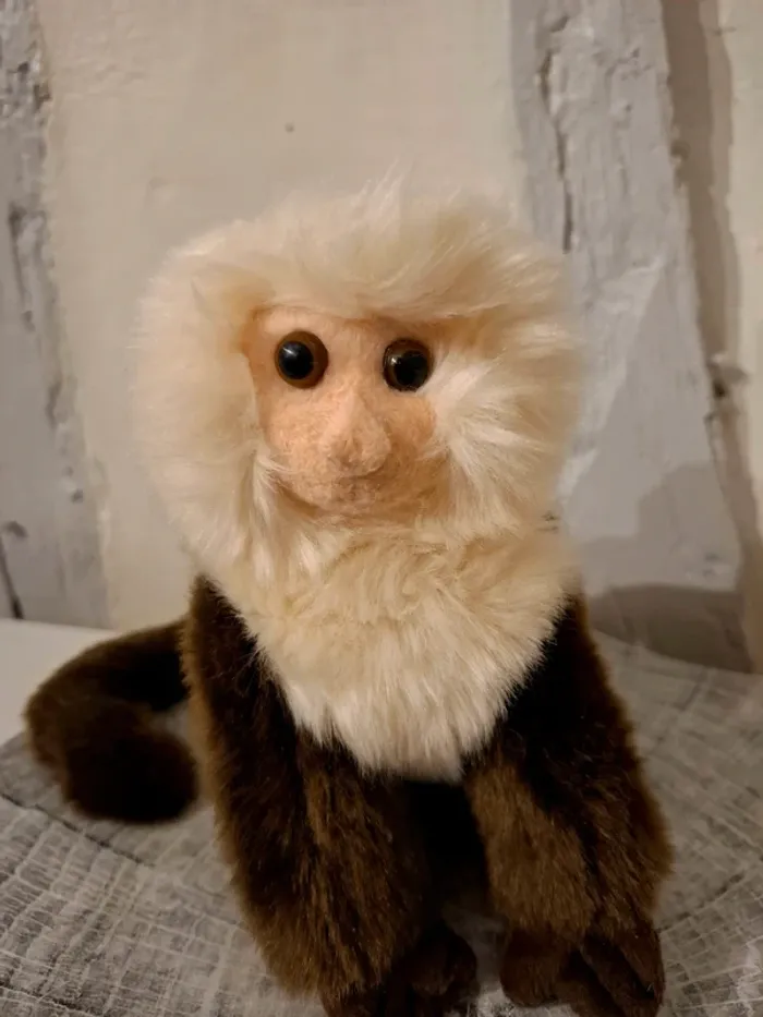 Peluche Singe Capucin - 20 cm - photo numéro 3