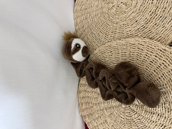 Jouet pour chien Beeztees, , élastique, en peluche, marron - photo numéro 4