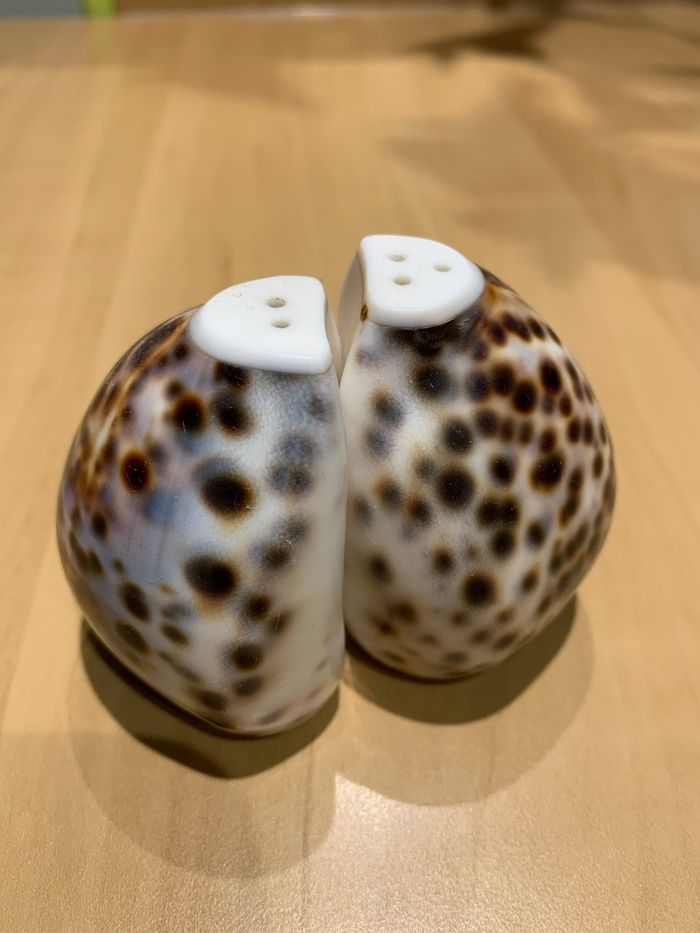 Salière et poivrière en coquillage - photo numéro 2