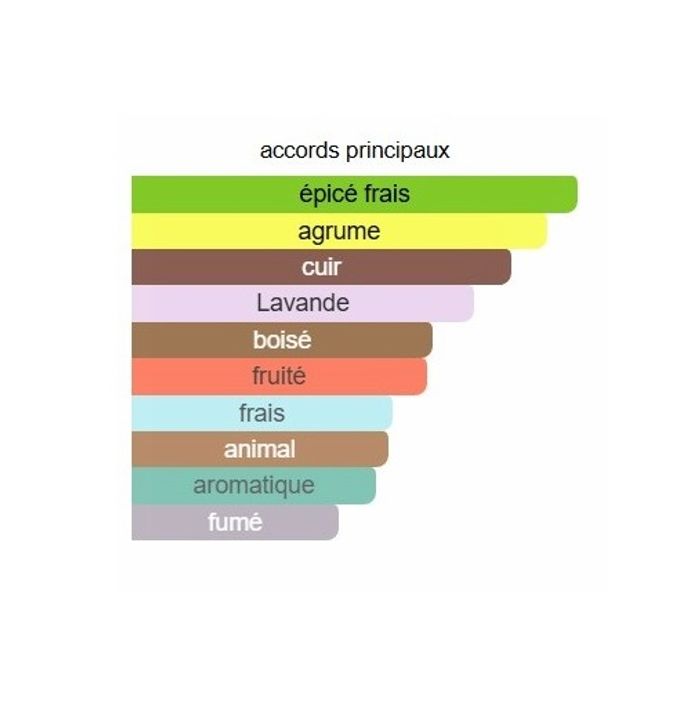 Desso Gold Gentleman "inspi hugo boss The Scent Him" Eau de Parfum Homme 100 ml - photo numéro 3