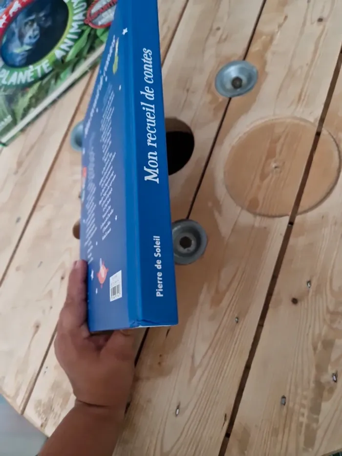 Livre de contes - photo numéro 3