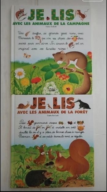 Lot de deux livres je lis