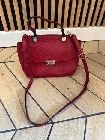 Sac salamender