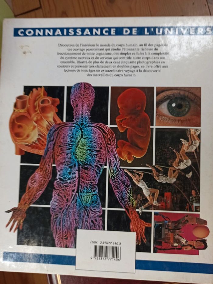 Corps humain - photo numéro 2