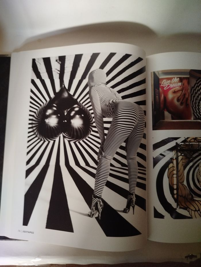 Juxtapoz Erotica - Art book - photo numéro 5