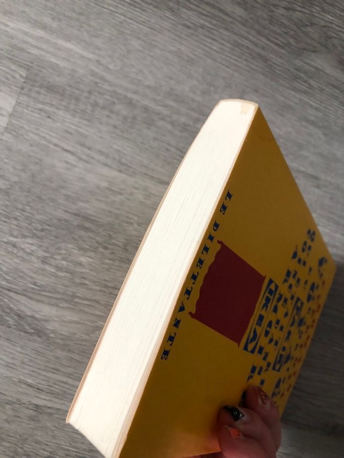 L’extraordinaire voyage du fakir - photo numéro 7