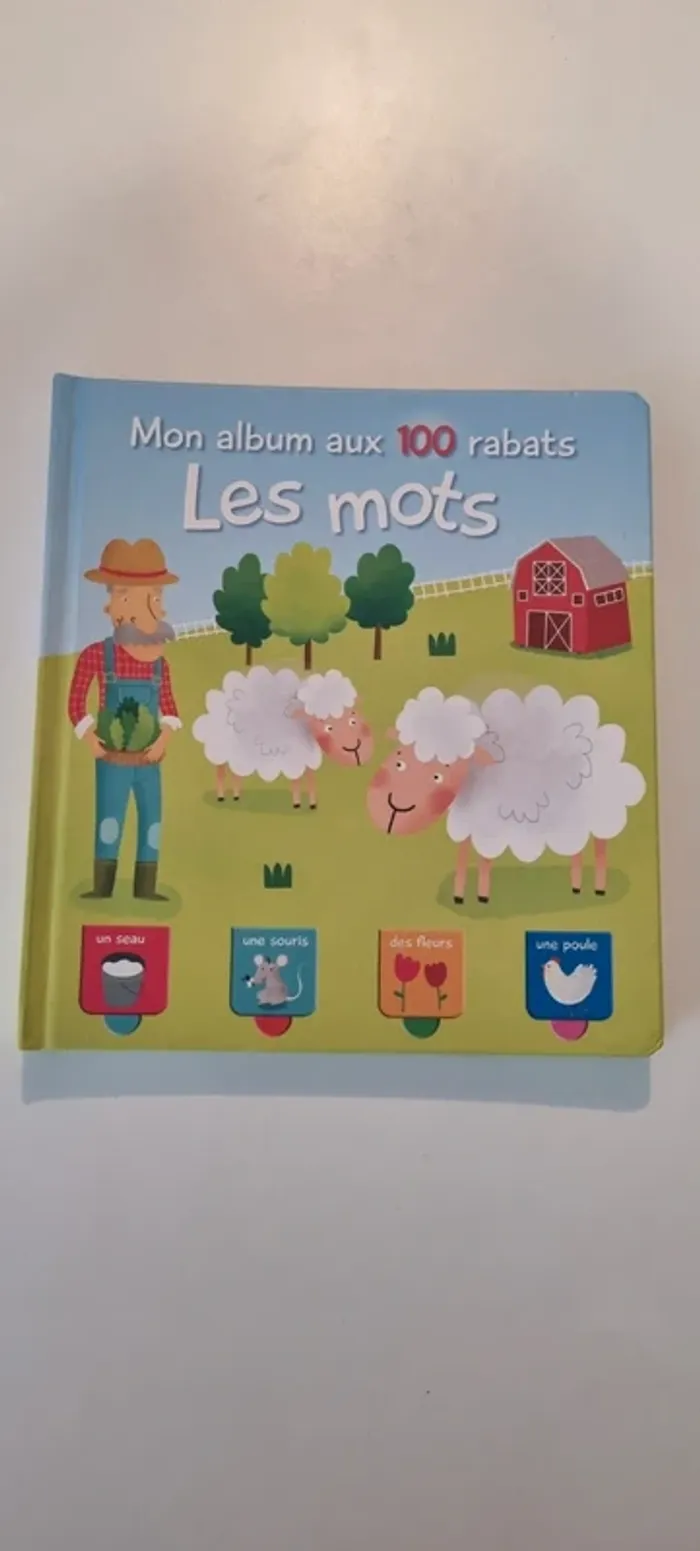 Livre Les Mots avec 100 rabats