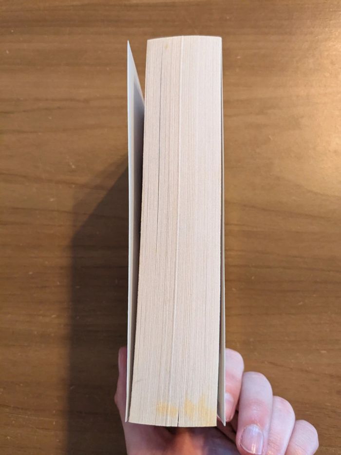 Troie tome 1 - photo numéro 4