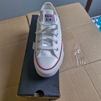 Converse basse 
