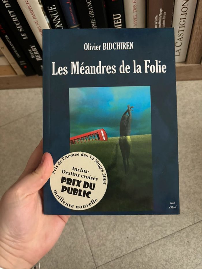 Livre Les Méandres de la Folie
