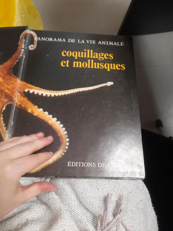 Grand livre illustré édition de lagora - photo numéro 6