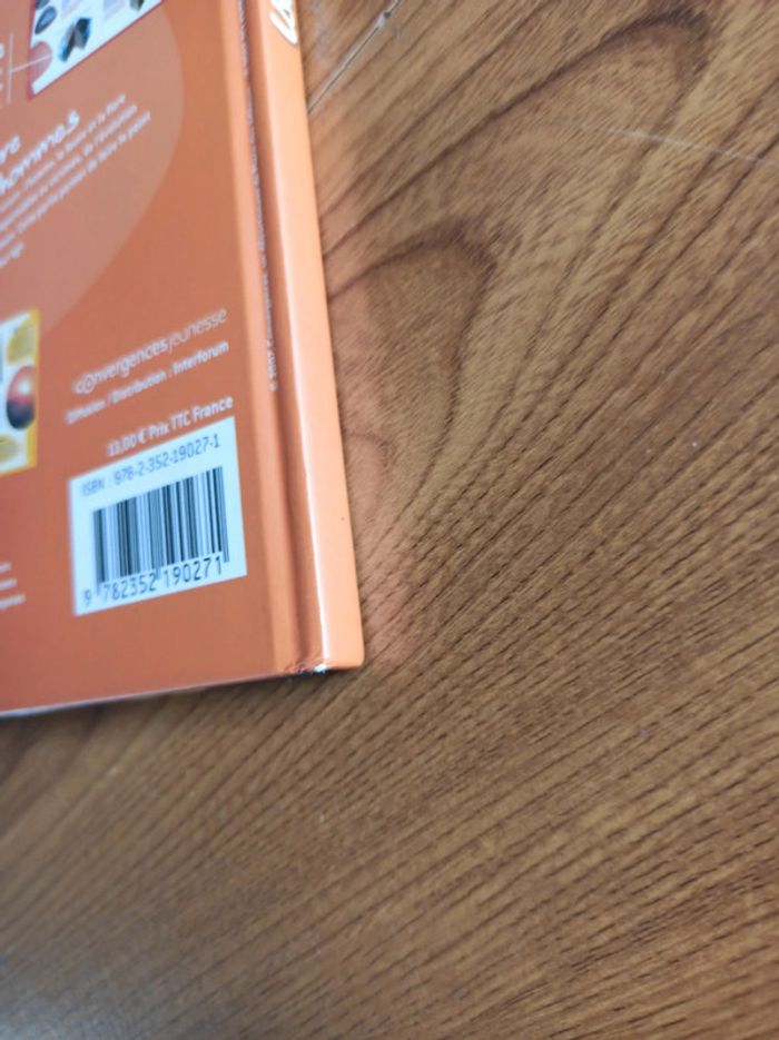 Livre Ushuaia junior volcans - photo numéro 4