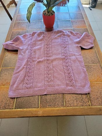 Pull laine  manches courtes