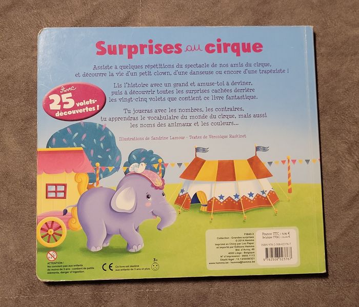 Surprises vacances au cirque Sandrine Lamour (Illustrations) - photo numéro 9