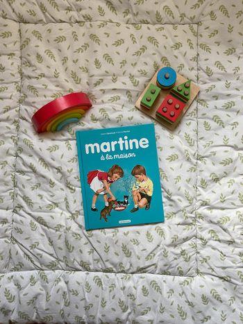 livre Martine à la maison édition Casterman