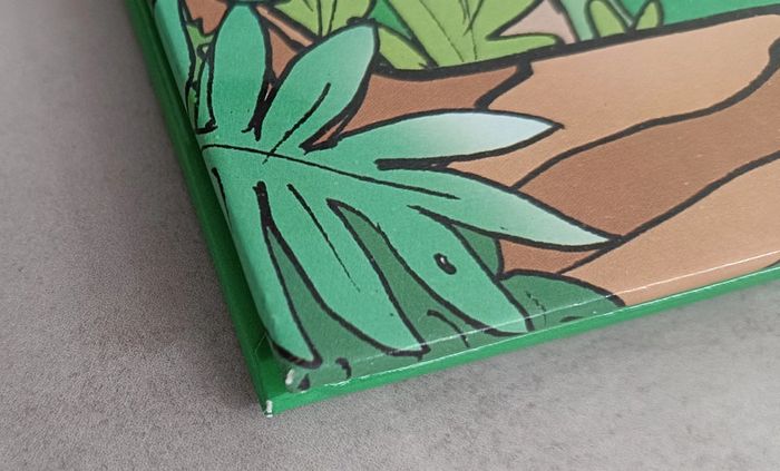 Livre les aventures de Victor - photo numéro 9