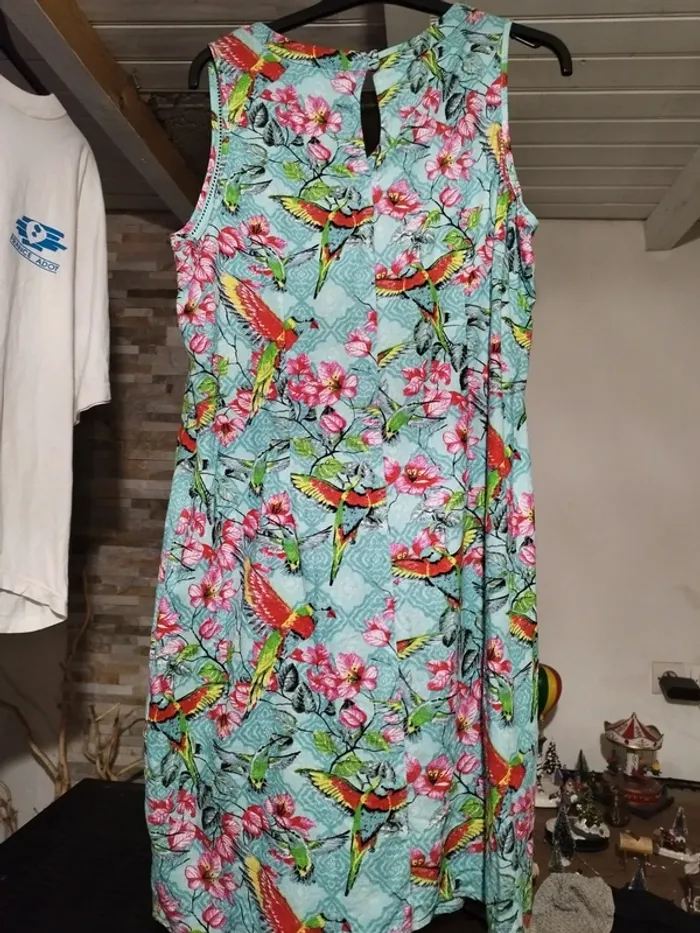 Robe perroquet - photo numéro 5