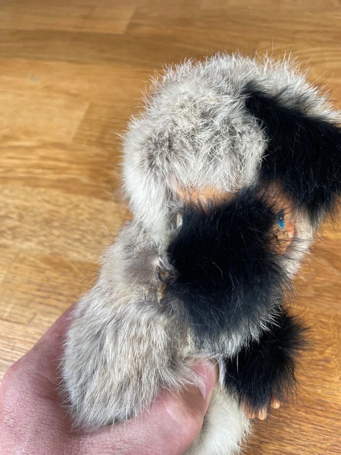 Peluche kiki - photo numéro 6