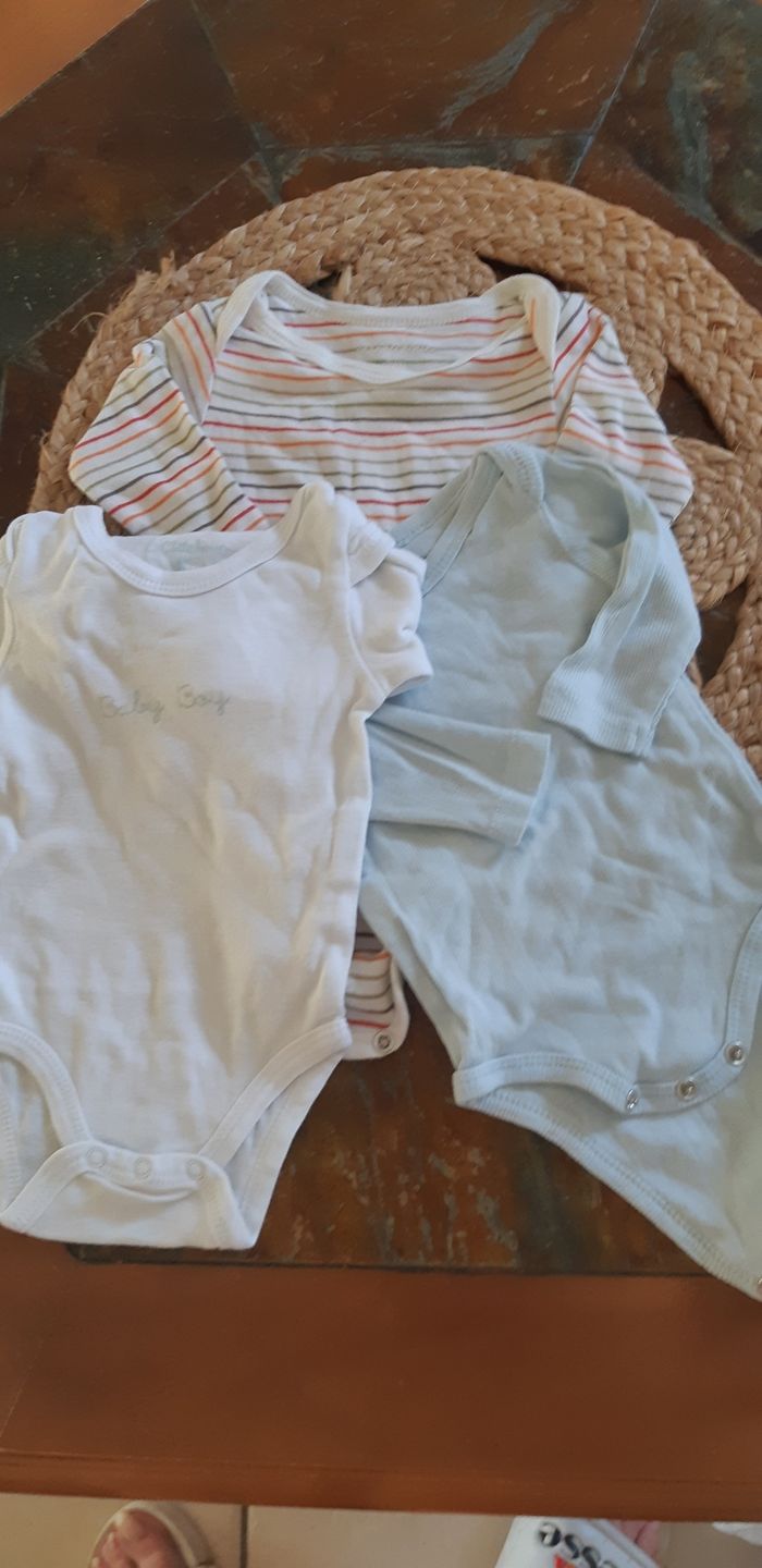 Bodies