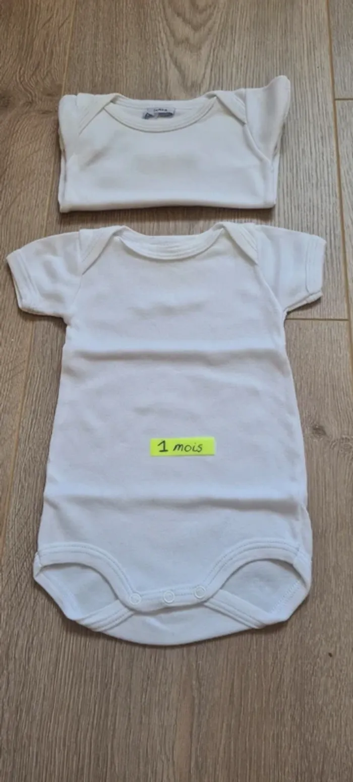 Bodies manches courtes