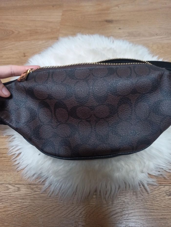 Banane coach - photo numéro 4
