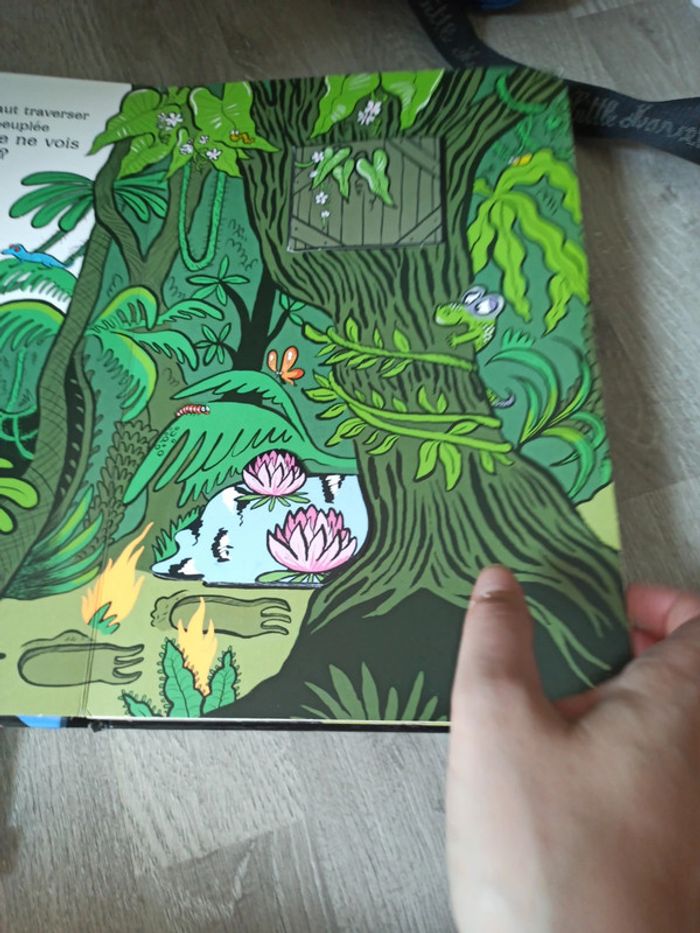 Livre au secours un dragon scrogneugneu - photo numéro 4
