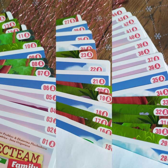 2 Jeux Detecteam Family - photo numéro 8