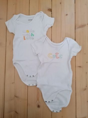 Lot de 2 bodies MC mixtes 12 mois