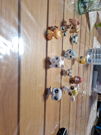 Lot petshop (8)