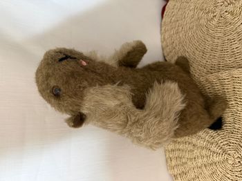 Peluche Vintage Marmotte Doudou Peluche de collection