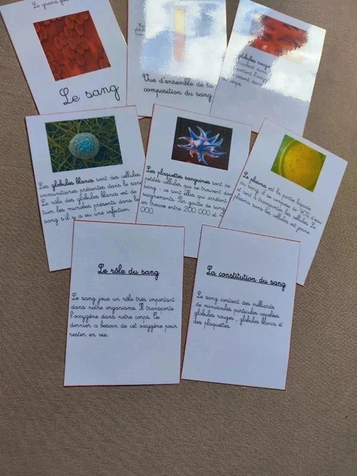 Cartes de nomenclature sur le sang - photo numéro 5