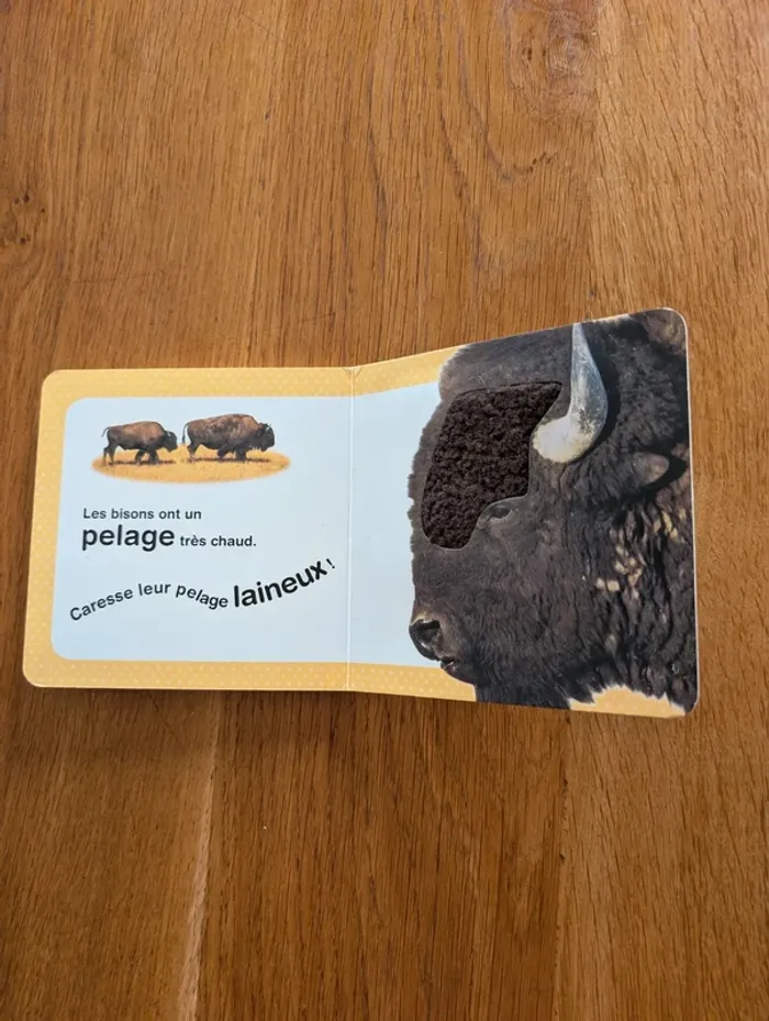 Livre à toucher au Zoo - photo numéro 5