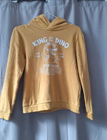 Pull à capuche 