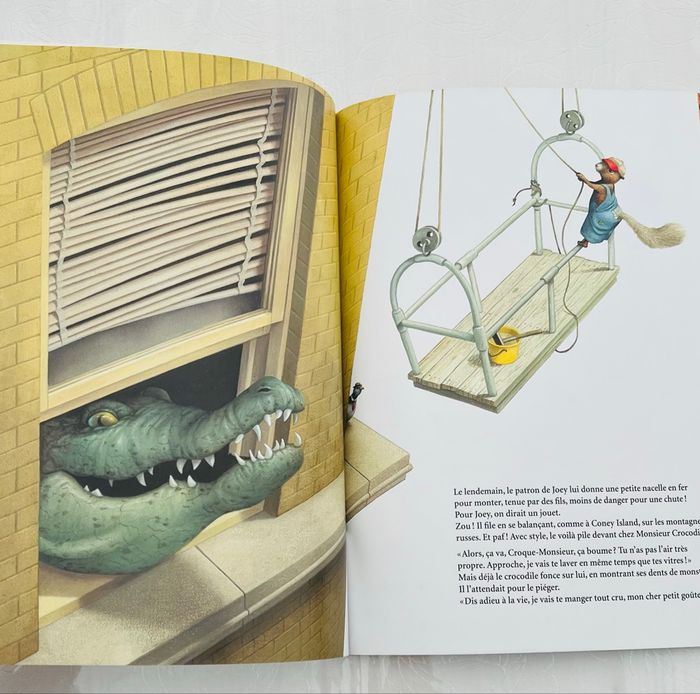 Livre enfant Lucky Joey (L’école des loisirs) - photo numéro 4